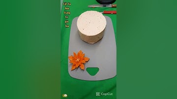 Ý tưởng thủ công đáng kinh ngạc./ trà hoa cúc và nhài uống cùng nhau được không #shorts