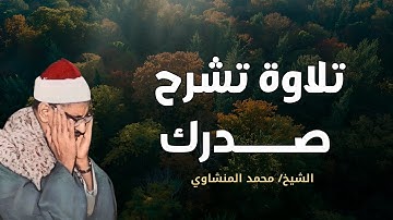 🌿 تلاوة تشرح الصدر وتهديء القلب | بصوت الشيخ محمد صديق المنشاوي | تلاوة تخشع لها الأرواح