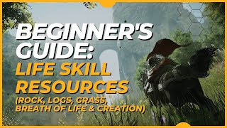 Black Desert Mobile: Beginner's Guide - Life Skill Resources (2023) screenshot 5
