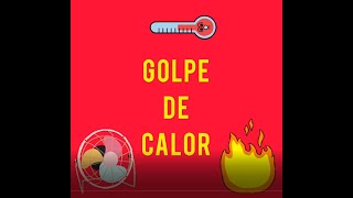 GOLPE DE CALOR ☀️🔥🥵