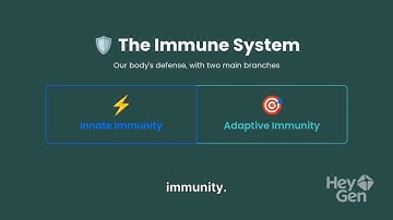 Depicting Functional Differences Between Innate and Adaptive Immunity | Educational AI Video