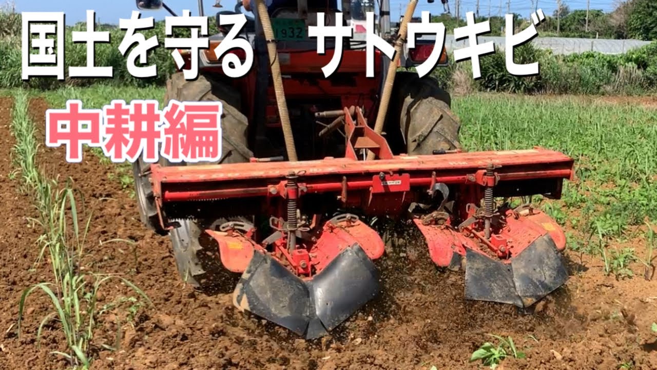 国土を守る　サトウキビ中耕作業編