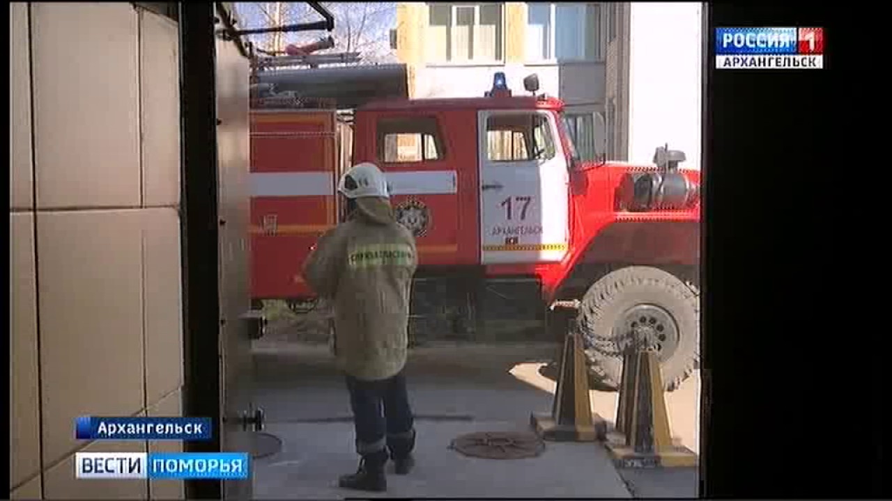 Тц нива архангельск отделы Тц нива архангельск отделы
