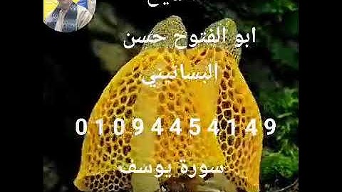 الشيخ ابو الفتوح حسن البساتيني التلاوات النادره سورة يوسف