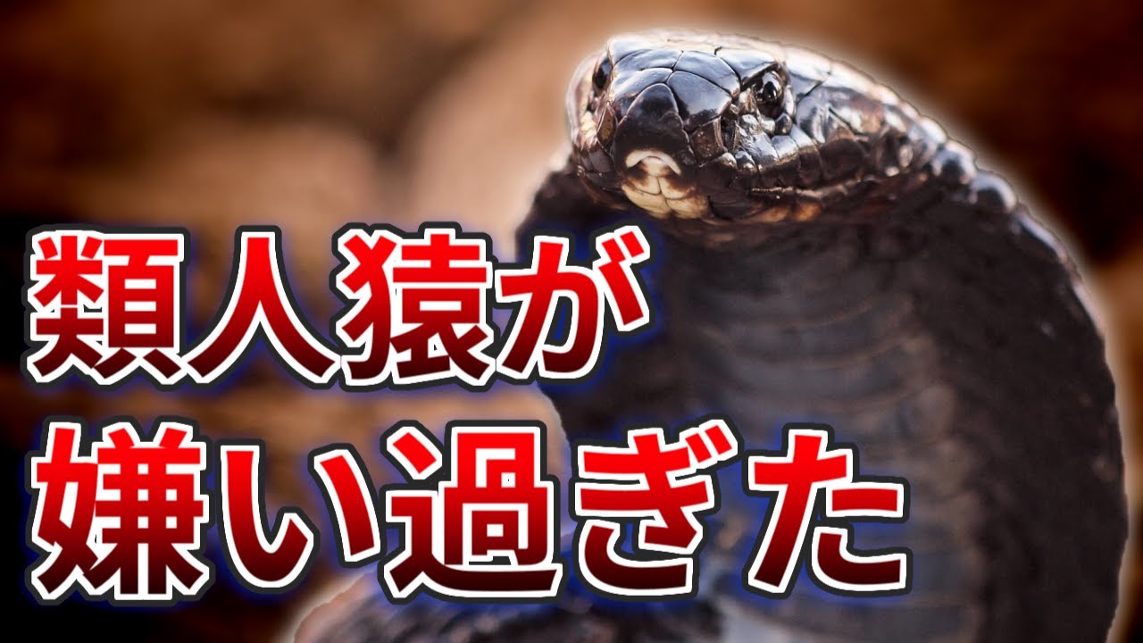 【衝撃】霊長類を嫌い過ぎた毒蛇、飛び道具に手を染める
