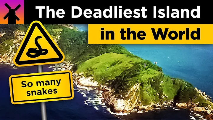 The Deadliest Island in the World: Snake Island Explained - DayDayNews