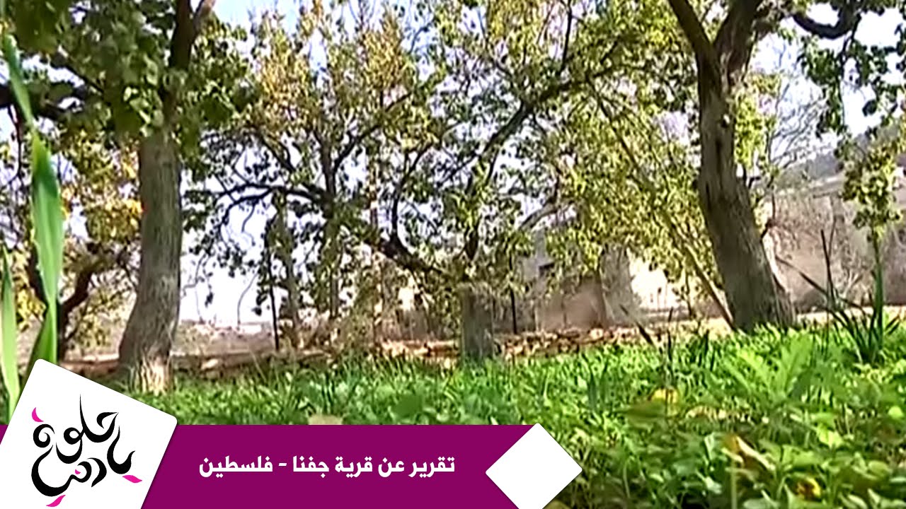 حلوة يا دنيا - تقرير عن قرية جفنا - فلسطين