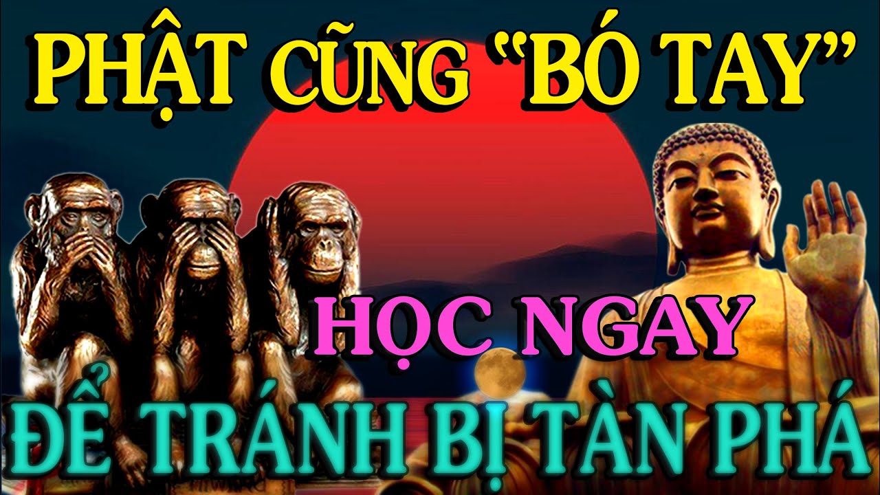 QUY LUẬT MÀ NGAY CẢ ĐỨC PHẬT CŨNG KHÔNG THỂ CAN THIỆP - Thiền Đạo - YouTube