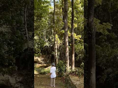 I Love Forest View J4vlogs Shortvideo