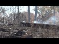 'The whole state right now is dry' | Central Georgia faces wave of brush fires