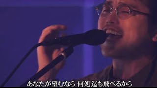King Gnu-逆夢 【高画質】(Live)