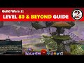 Guild Wars 2: Level 80 & Beyond Guide │ What to Do & Goals to Have