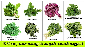 TOP 15 கீரை வகைகளும் அதன் பயன்களும் | Keerai Vagaigal And Benefits In Tamil | Greens & Spinach Types