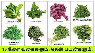 TOP 15 கீரை வகைகளும் அதன் பயன்களும் | Keerai Vagaigal And Benefits In Tamil | Greens & Spinach Types screenshot 2