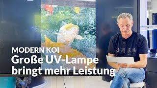 Patrick's UV Question - Three small ones or one large one? | Modern Koi Blog #7600
