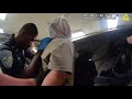 Multiple Felonies, Multiple Arrests, Significant Loss of Brain Cells (McLean County SO)
