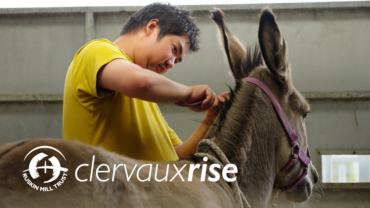 Clervaux Rise, Darlington - YouTube