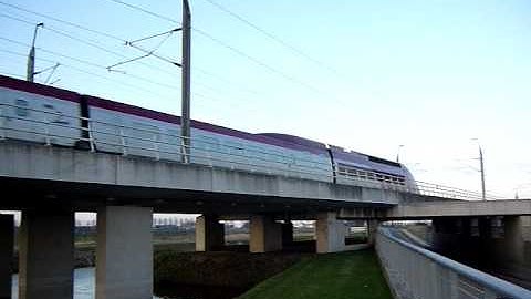 Thalys op HSL Zuid bij Zoetermeer richting Amsterdam