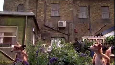 Mongrels | Marion on Catnip