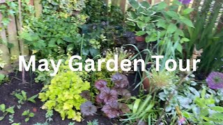 May Garden Tour // My Garden in Late Spring #gardentour #maygarden #plantingseason
