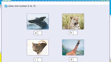 Get Smart 3 Unit 10 The World Around Us Revision 10