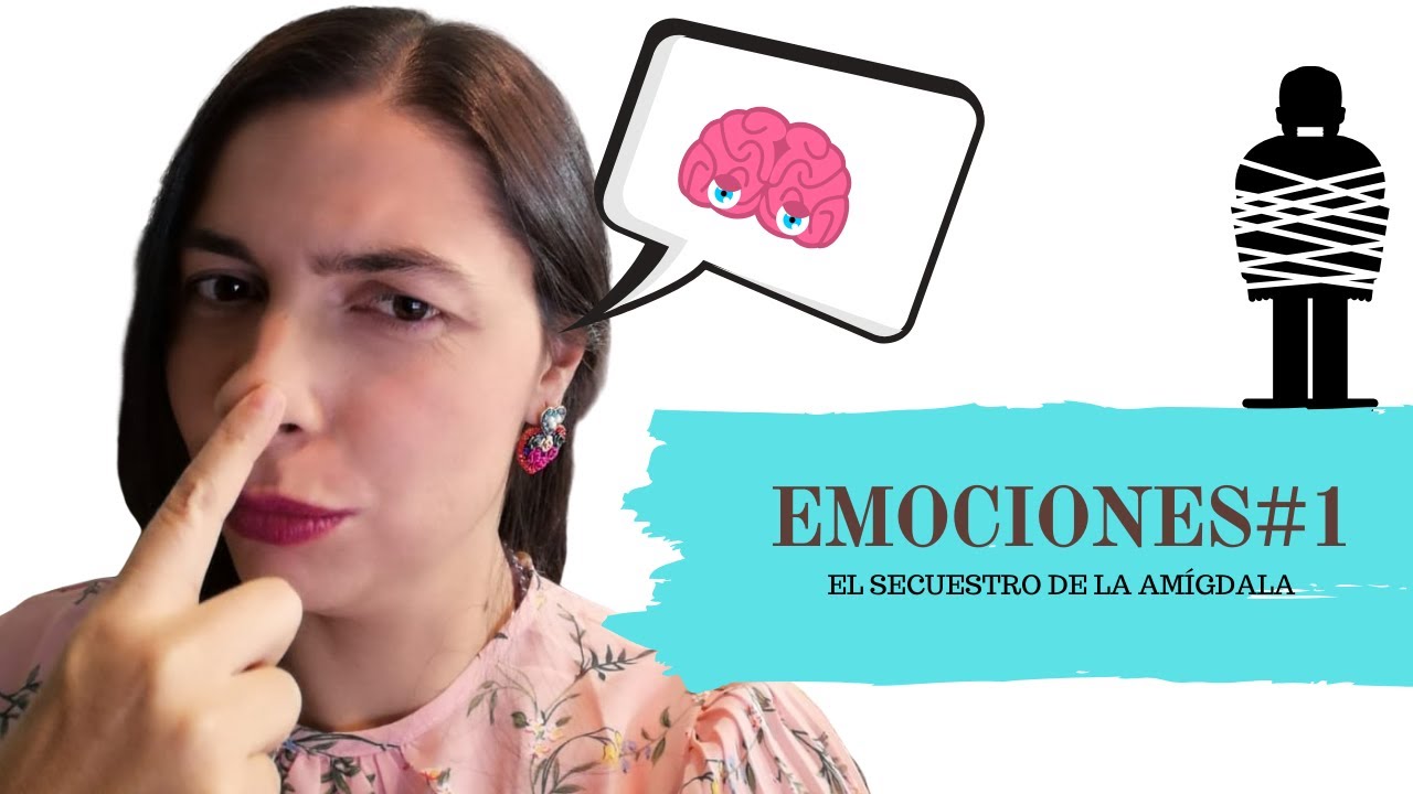 1 Taller de emociones EL SECUESTRO DE LA AMIGDALA SESION 1 YouTube 1 Taller de emociones EL SECUESTRO DE LA AMIGDALA SESION 1 YouTube