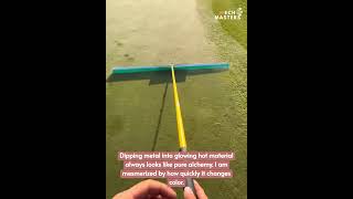 I love this video so much #shorts #funny #fails