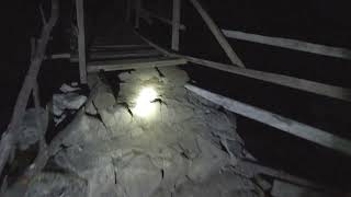 Walking At Night In Dereyayla What Should I Do If I See A Bear ?