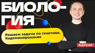 Биология ЦТ | Задачи по генетике. Кодоминирование