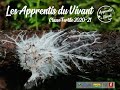 Conception dun systme agroforestier 22  marceau bourdarias herv covs et alain canet