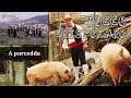 Ref:s1-rsx_UbY0 'a porcedda