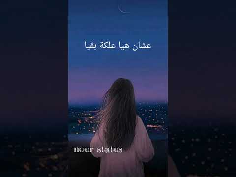 وصلتلها هيفاء وهبي