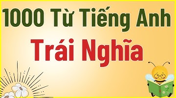 1000 từ tiếng Anh trái nghĩa - Cách giúp bạn học từ vựng hiệu quả