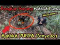 Detik-detik BONGKAR SARANG MAKHLUK PURBA! MAKHLUK PENYEDOT YANG MENGERIKAN!