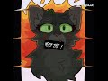 hollyleaf edit! (this took an hr but who cares :3 )
