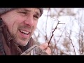 Winter and Cold Weather Survival Skills - Winter Forage Wild Edible Plants -  Prevent Hypothermia