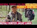 Hunting Turkey with decoy Nepali ||Nepali professional hunter