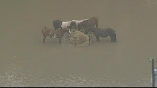 Historic rains cause deadly flooding in Texas