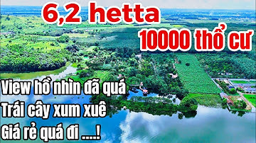 ANH NGHĨA CẦN NHƯỢNG LẠI MẢNH VƯỜN TRÁI CÂY VIEW HỒ NHÌN MÀ GHIỀN TẠI BÀ RỊA VŨNG TÀU GIÁ RẺ