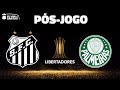 Santos 0 x 1 Palmeiras - final da Libertadores - análise