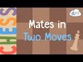 Chess Checkmate Strategies and Scenarios