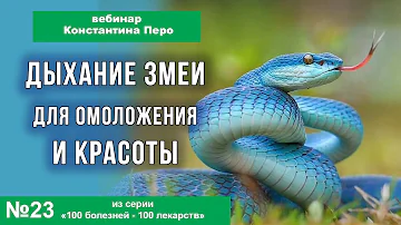Дыхание Змеи для омоложения и красоты. Лао-цзы #23 Константин Перо. Академия Целителей