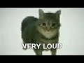 Oiiaoiia spinning cat sound variations in 60 seconds