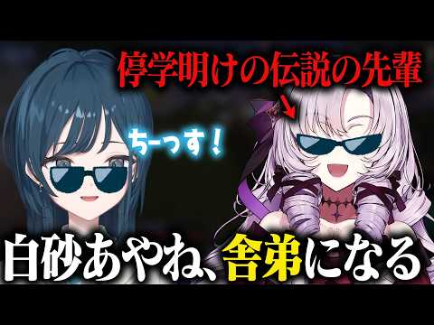 【あらなみマイクラ】伝説のヤンキー、サロメ先輩の舎弟になりたい白砂あやね【にじさんじ/切り抜き】