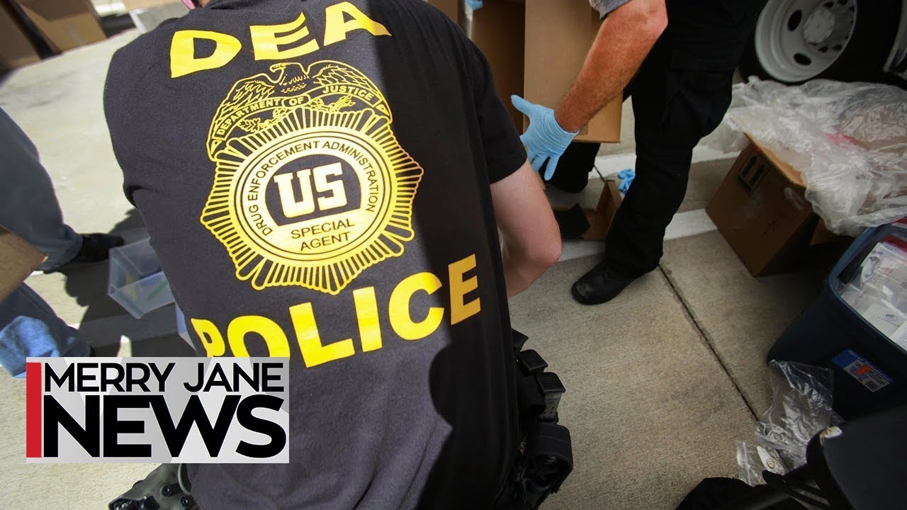 Here's How the Cannabis Industry Is Solving Its Diversity Problem | MERRY JANE News