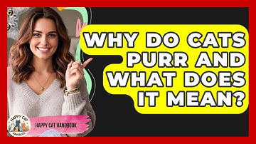 Why Do Cats Purr And What Does It Mean? - Happy Cat Handbook
