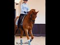 Hehehe @NothingbutHayHay  #horse #edit #fypシ゚viral #equestrian #happybirthday 