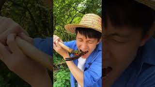 Buy a fake hammer |Chinese Mountain Forest Life And Food #MoTiktok #Fyp