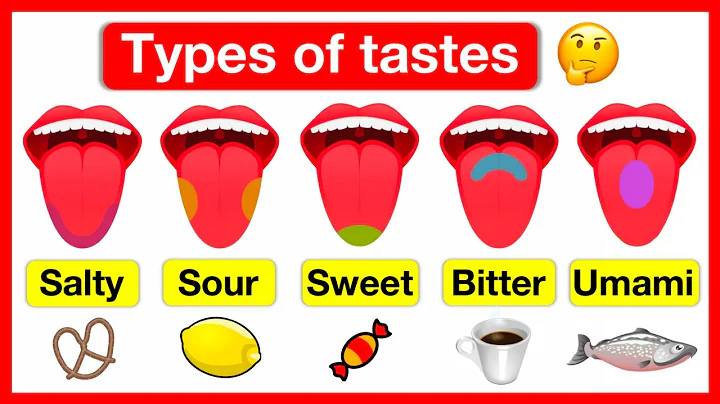 Types of tastes 👅 | Salty, Sour, Sweet, Bitter & Umami | How do we taste? 👅 | Easy learning video - DayDayNews