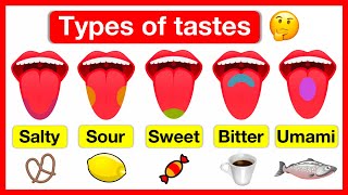 Types of tastes 👅 | Salty, Sour, Sweet, Bitter \& Umami | How do we taste? 👅 | Easy learning video